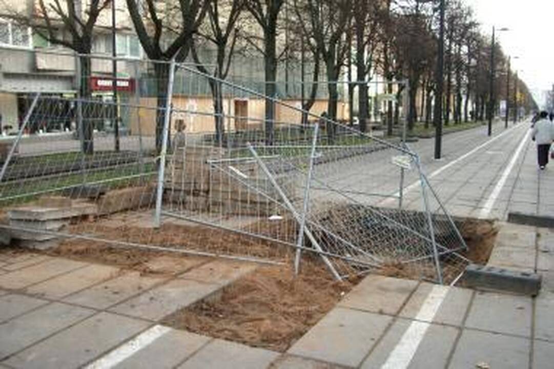 Chuliganams užkliuvo apsauginė tvora 