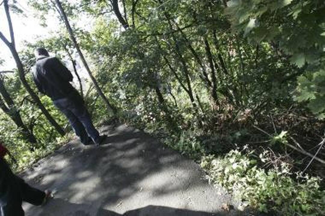 Savivaldybė skirs lėšų Jiesios šlaitui sutvirtinti