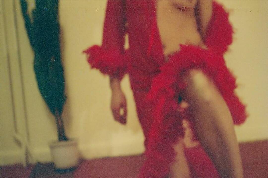 „Kis, kis, kis, katyte!“, arba L.Andrikio fotoparoda „Pussy magnet“