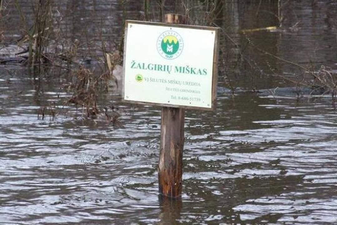 Potvynis iš pamario traukiasi nenoriai
