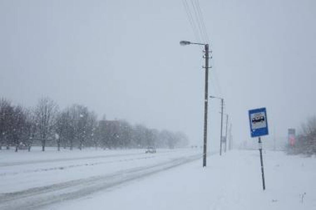 Balta žiema nuklojo miesto gatves