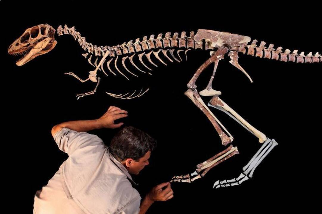 Net didžiausių dinozaurų smegenys buvo teniso kamuoliuko dydžio 