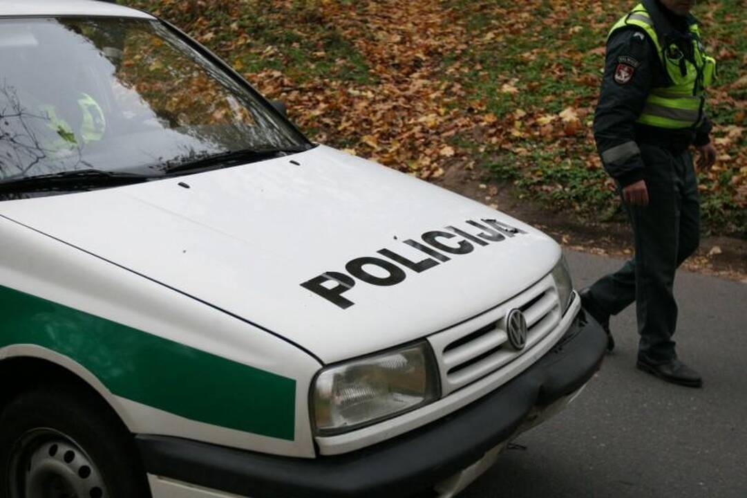 Avarija sostinės pakraštyje: arklys žuvo, automobilis sudaužytas