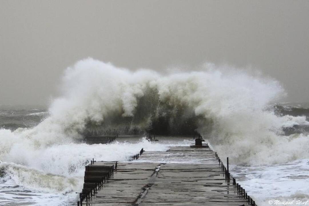 Dėl kaistančio klimato ir Lietuvai gali tekti sprukti nuo jūros