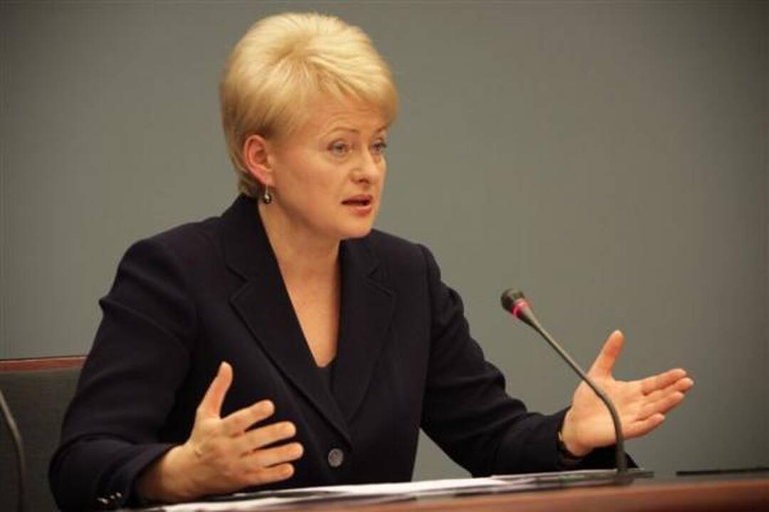 D.Grybauskaitė: tyrimas patvirtino netiesioginius įtarimus dėl CŽV kalėjimo