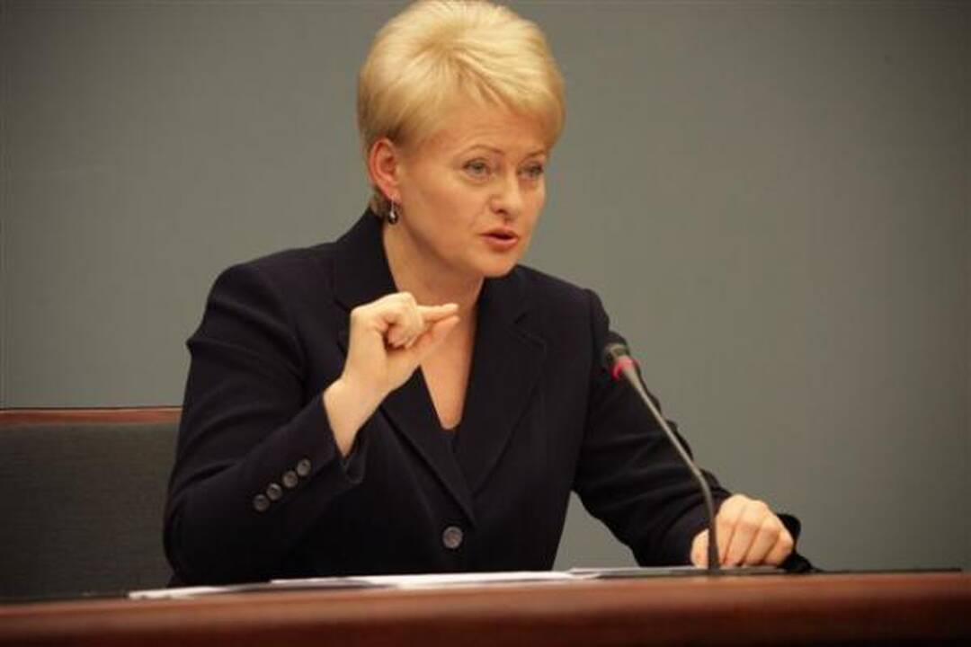Prezidentė dėl CŽV kalėjimo Lietuvoje turi "netiesioginių įtarimų" (papildyta)