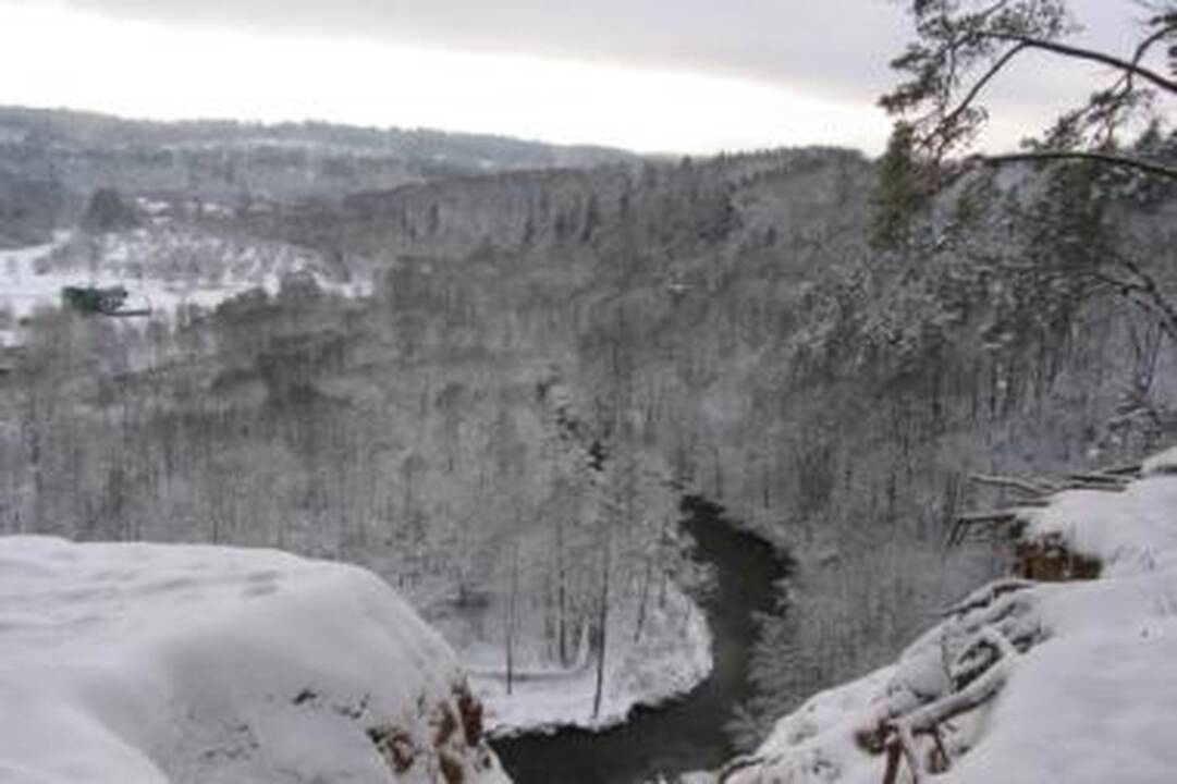 Sekmadienį Vilniuje – pėsčiųjų žygis snieguotais parkų takais