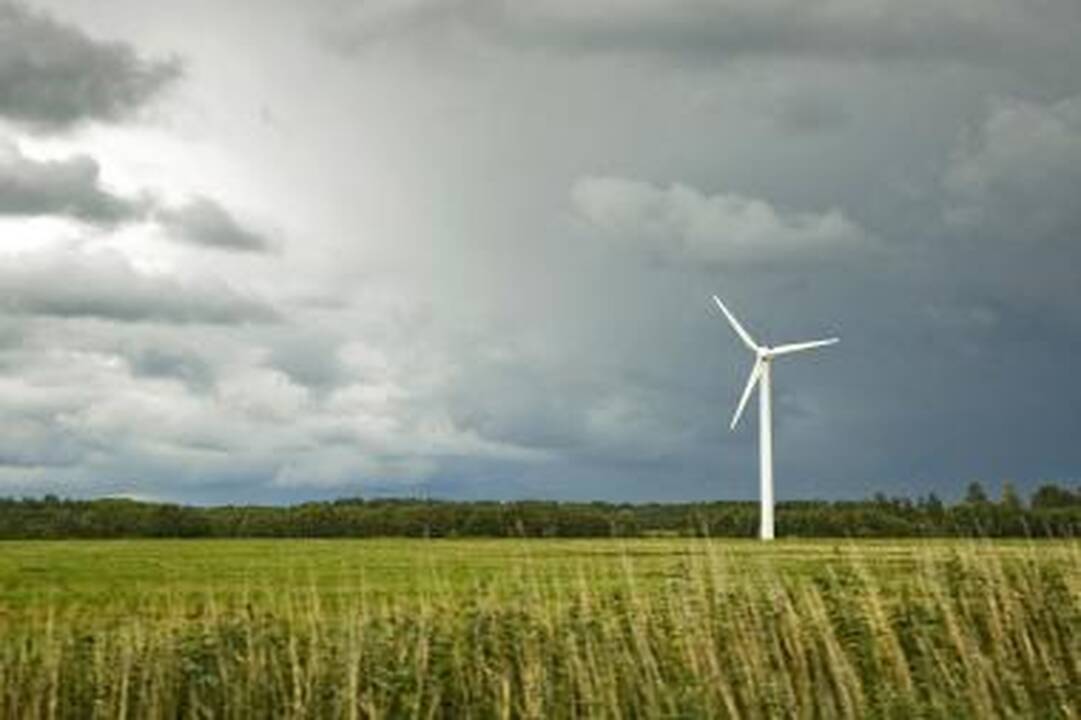Padidinta vėjo elektros supirkimo kaina turėtų paskatinti investicijas