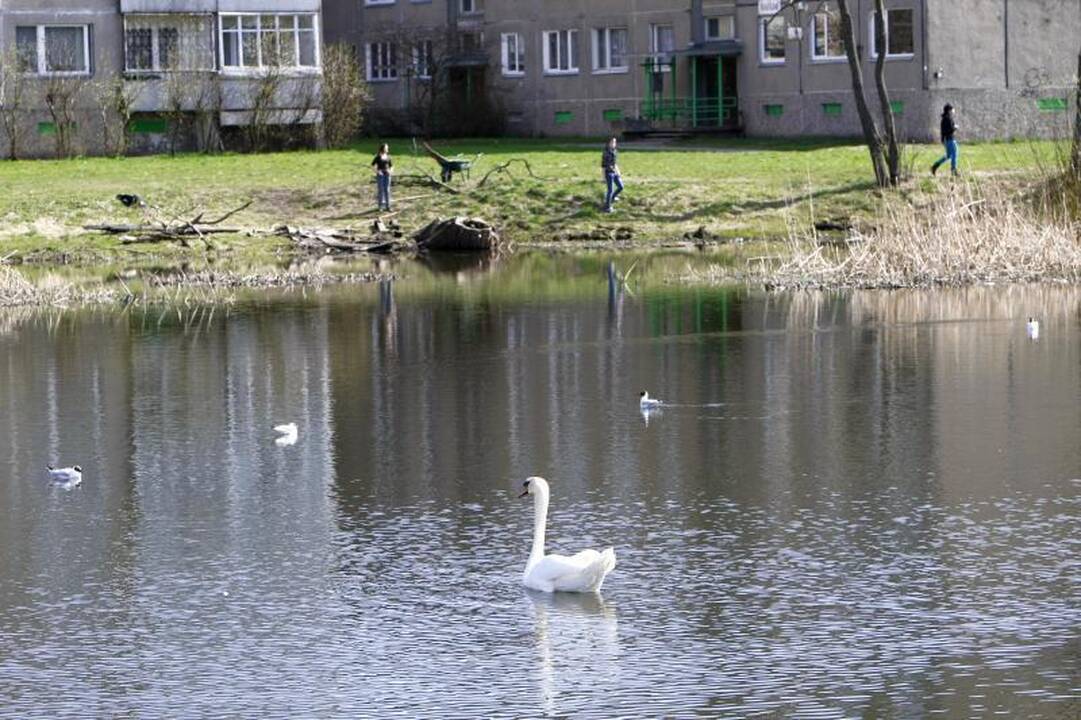 Kėdainių rajone nuskendo vaikas