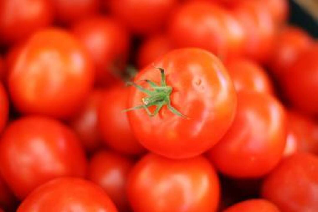 "Rivonos" importuotame "Heinz" padaže rasta neleistinų priedų