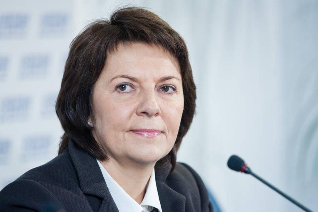 E.Šiškauskienė: apie 200 mln. litų investicijų į Lietuvą nebeateis
