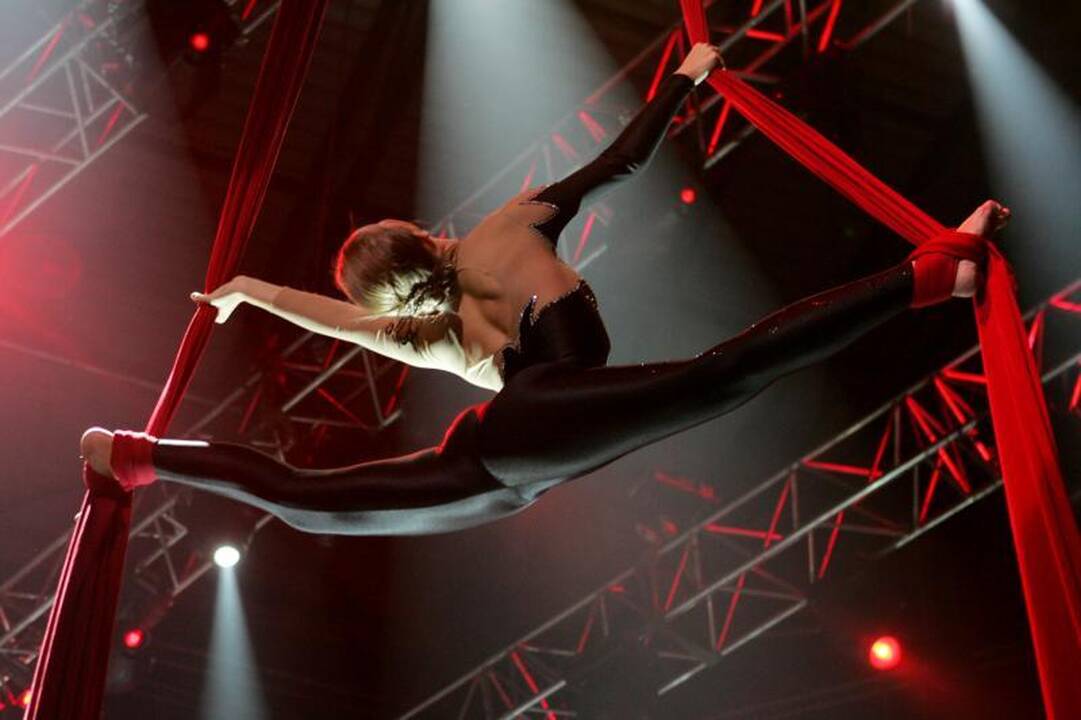 Renovuotas gimnazijos patalpas norima atiduoti gimnastikos mokyklai
