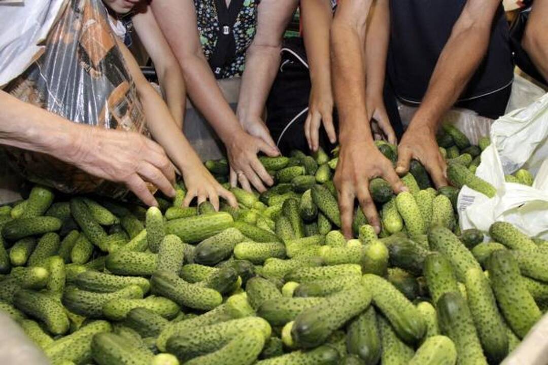 Ispanija dėl patirtų nuostolių grasina iškelti bylą Hamburgui