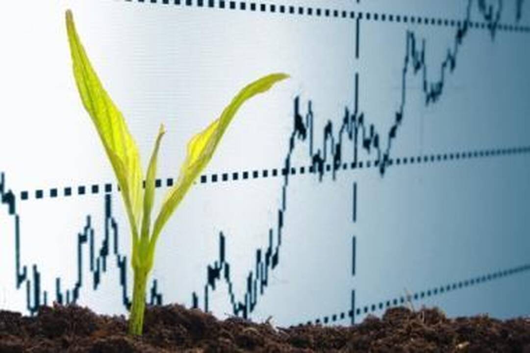 Vyriausybės ataskaita: viešieji finansai suvaldyti, ūkis auga