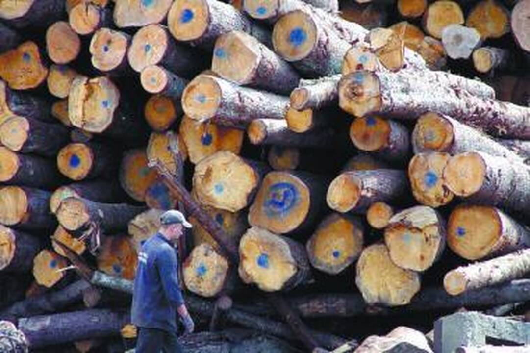 Medienos pramonė "Jūrės medis" įveikė norvegų medinių tiltų lyderį 