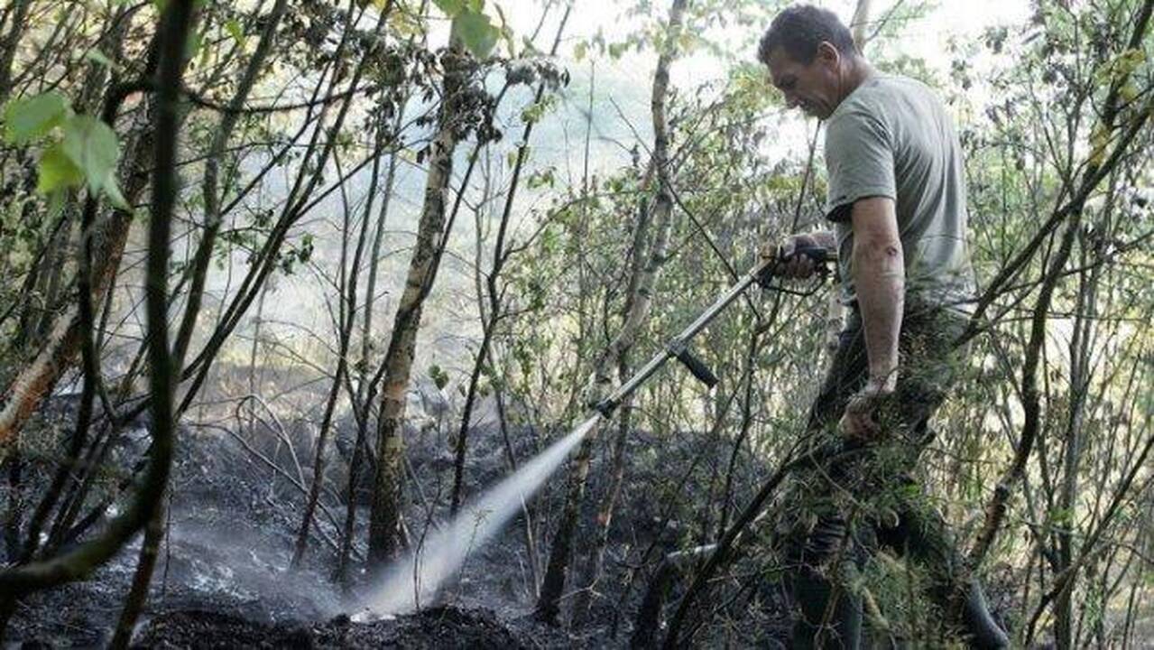Panemunės šile išdegė hektaras miško paklotės