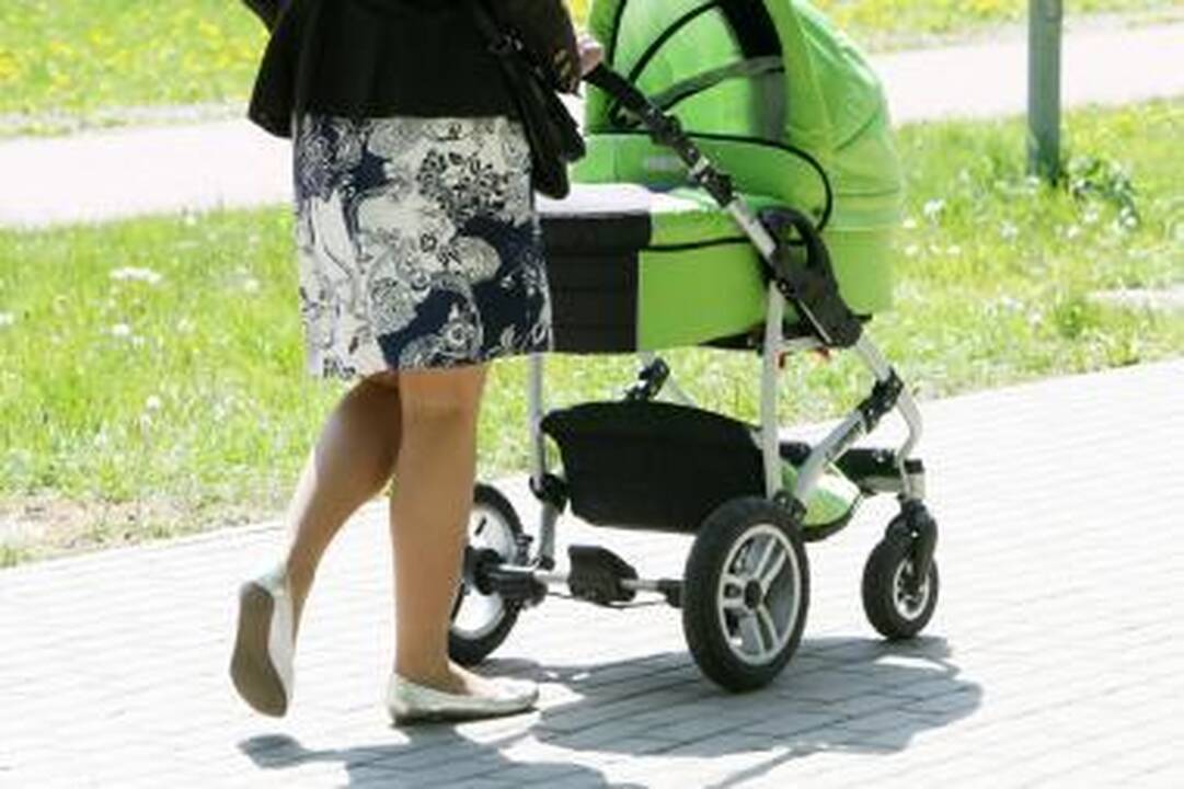 Po Damoklo kardu – motinystės pašalpos ir PVM