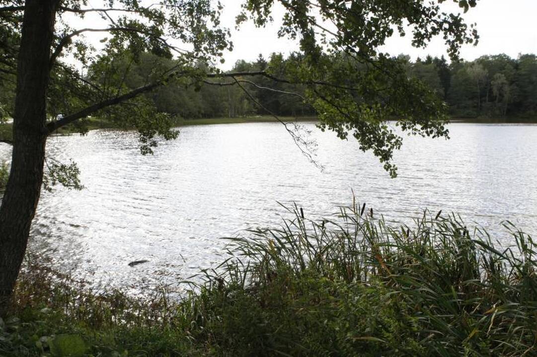 "Laisvės kelio" skulptūra primins Baltijos kelią