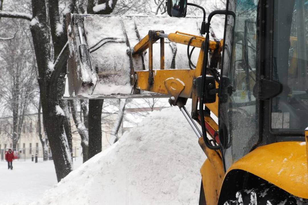 Paskaičiuokime: kiek šalies ekonomikai kainuoja šalčiai?