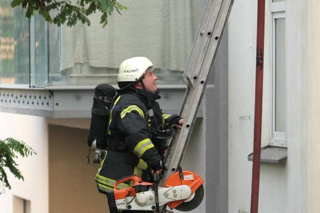 Ugniagesiai vadavo girtuoklius