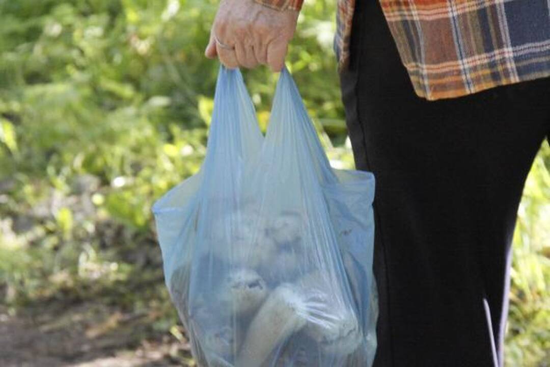Jonavos miške dingusio vyro kūną rado kitas grybautojas