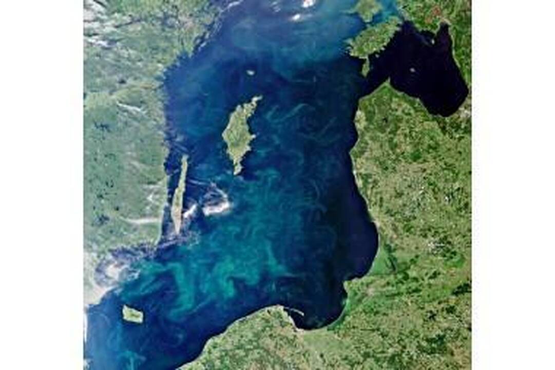 „Žydinti“ Baltijos jūra sunerimti privertė ne tik aplinkosaugininkus