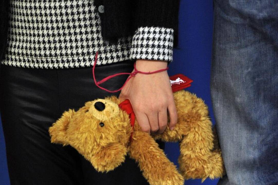 Britų aviakompanija skrydžiui ims registruoti ir pliušinius meškiukus