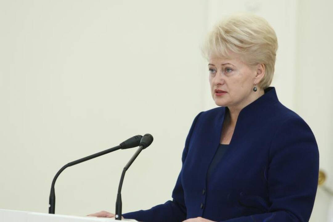 Prezidentė ragina institucijas įkurti vindikacijos tarnybas