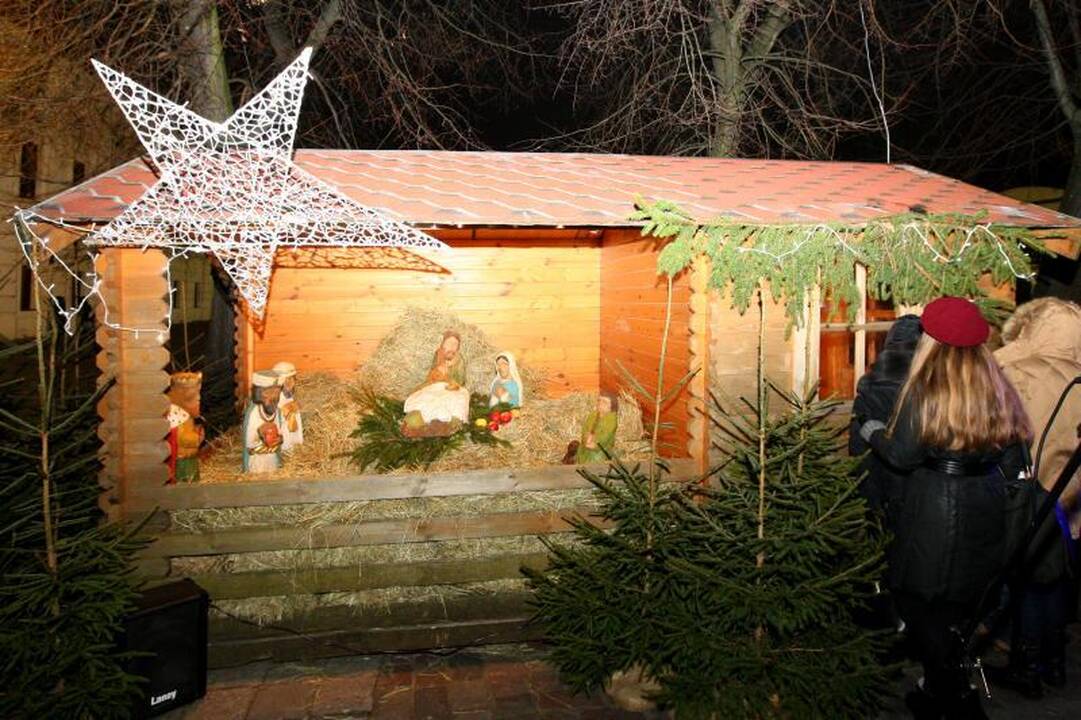 Rotušės aikštėje tradiciškai apsigyveno avys