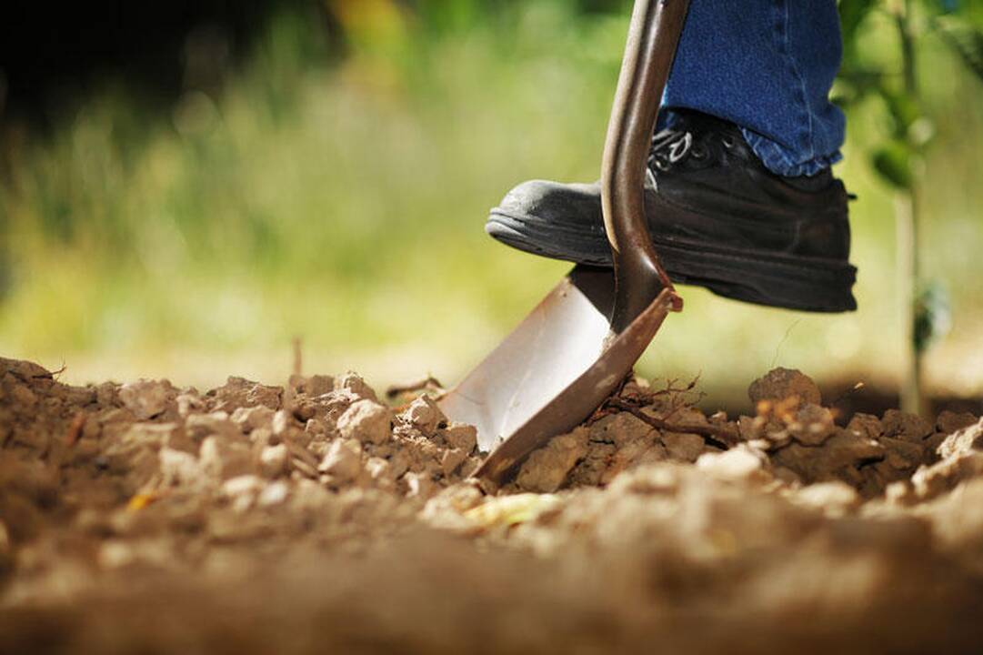 Vengrija nebeleis užsieniečiams pirkti ariamos žemės