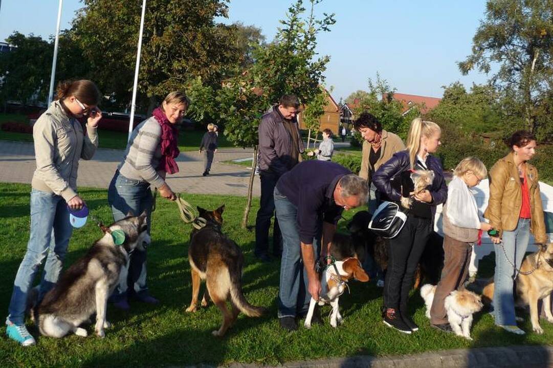Neringos kasdienybę nuspalvins nemokama šunų paroda-šventė 