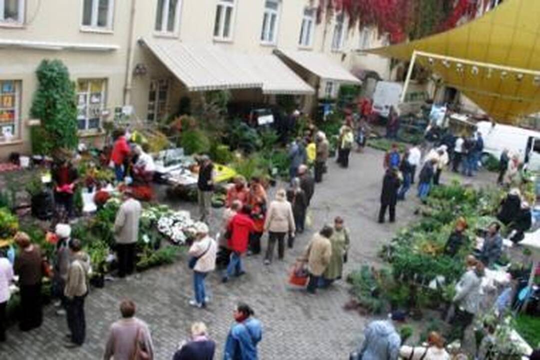 „Sodo kraitė” Mokytojų namuose: nepaprastų žmonių - nepapratos salotos