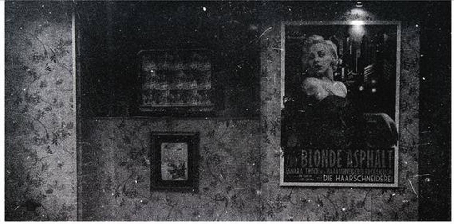 Baroti galerijoje – R.Treigio jubiliejinė paroda „Tamara iš Graco“