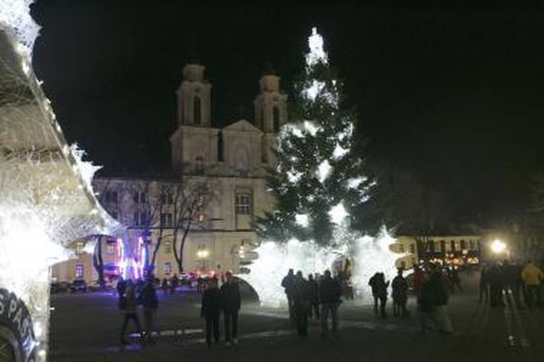 Chuliganams užkliuvo pagrindinė miesto eglė