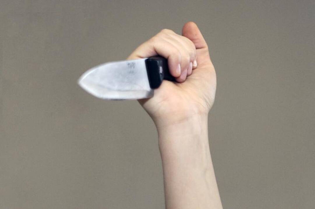 Visagine bute nužudyti du žmonės, sulaikyti trys įtariamieji