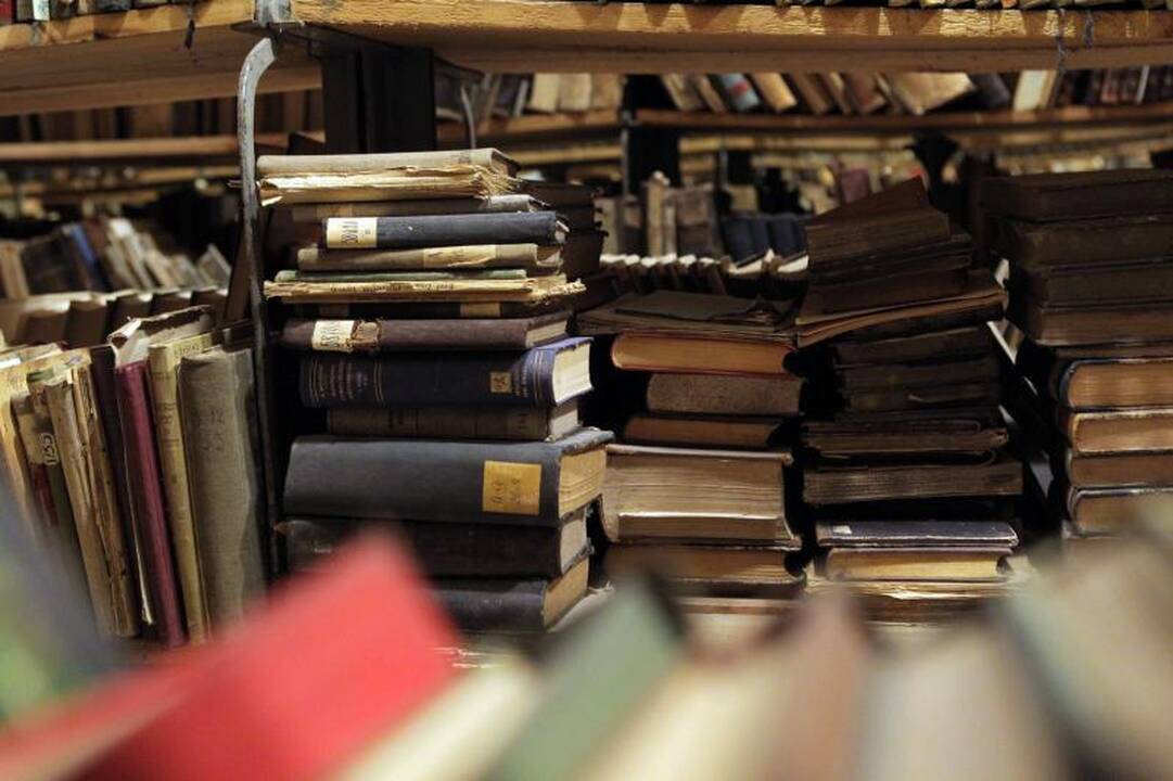 E.Parulskio knyga „Kasdienybės kunstkamera“: apie kai ką ir apie nieką