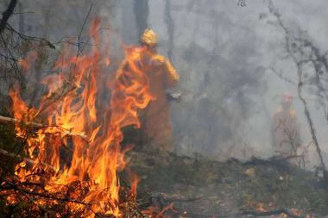 Australijoje siaučia gaisrai (papildytas)