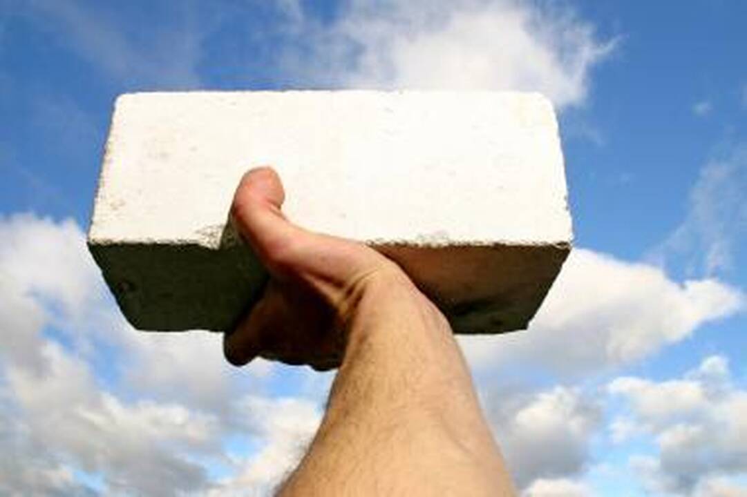 "Luidas" Didžiasalyje statys izoliacinių medžiagų ir plytų gamyklas