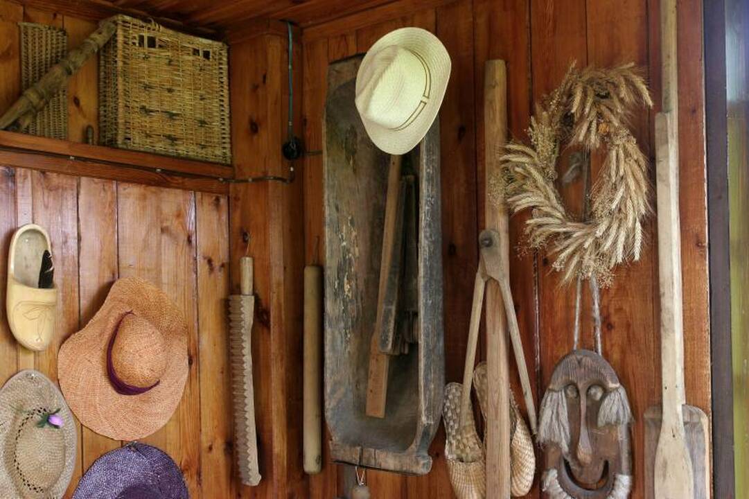 Atsisako nuostatos leisti prekiauti archeologiniais radiniais