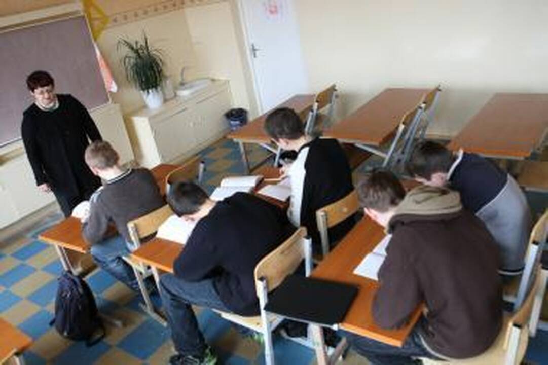 Mokyklos dalyvaus tobulinimo programoje