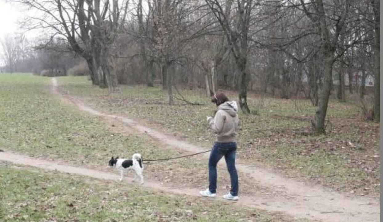 Klaipėdoje - griežtesnė tvarkos kontrolė