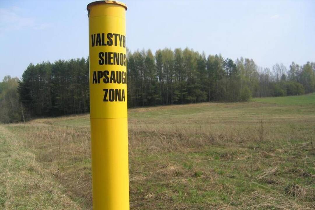 Rusai žada iki 2018 m. pagreitinti muitinės procedūras