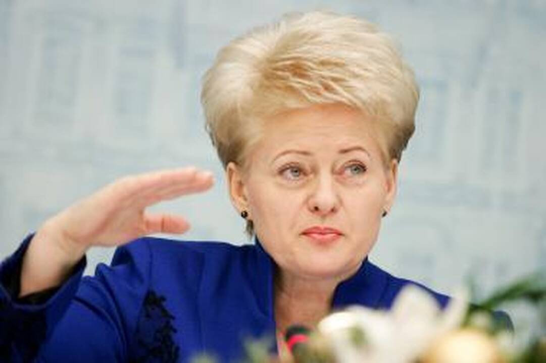 D.Grybauskaitė 2010-uosius vadina energetinės nepriklausomybės pradžios metais
