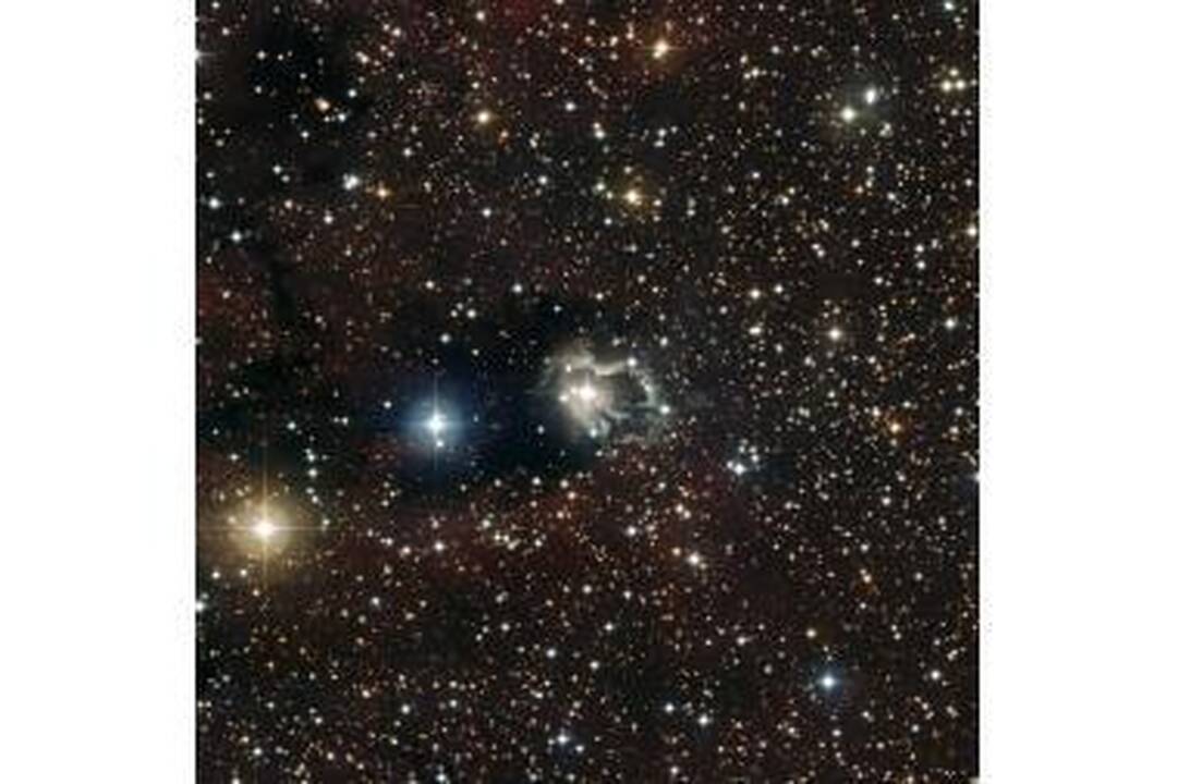 Astronomai kovoja už teisę matyti žvaigždžių šviesą 