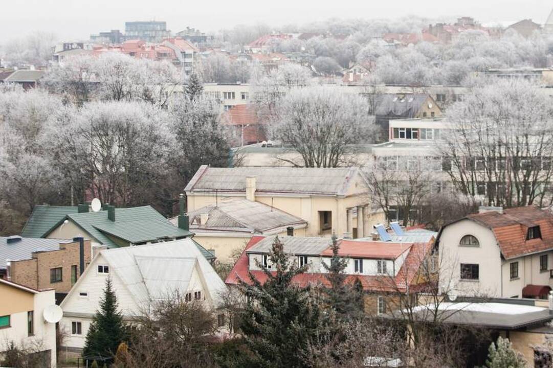 Orai: pūgas keis geliantis        šaltis