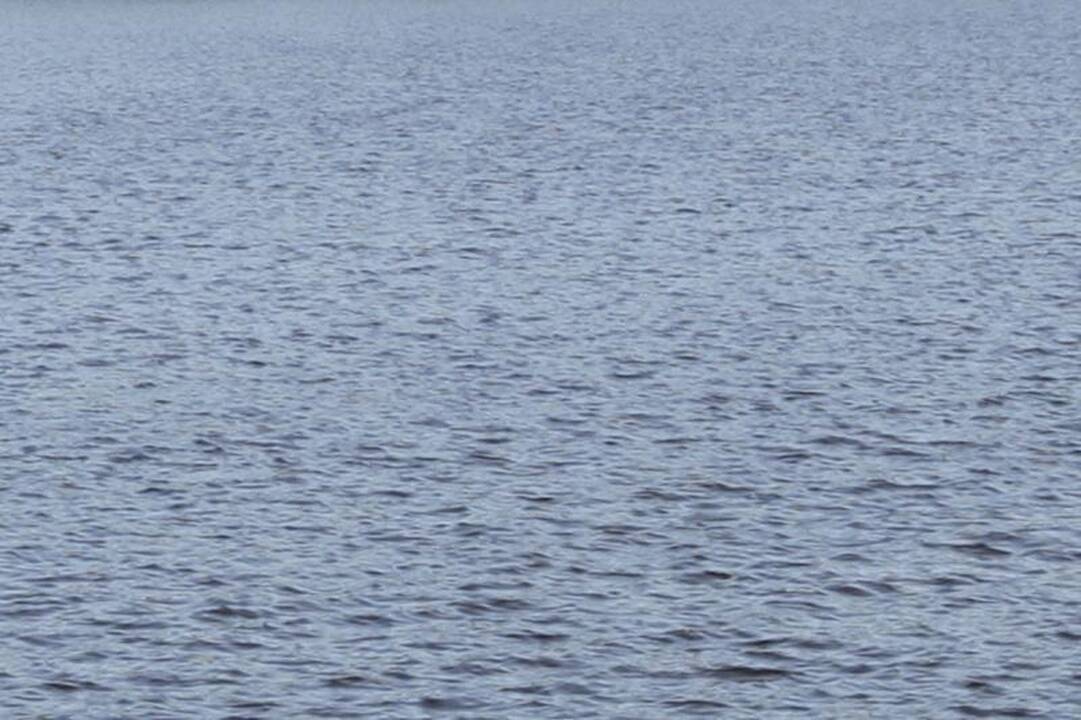 Darbėnų miestelio tvenkinyje nuskendo žmogus