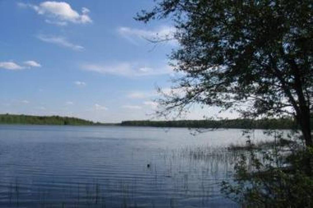 Sarių ežere nuskendo vyras