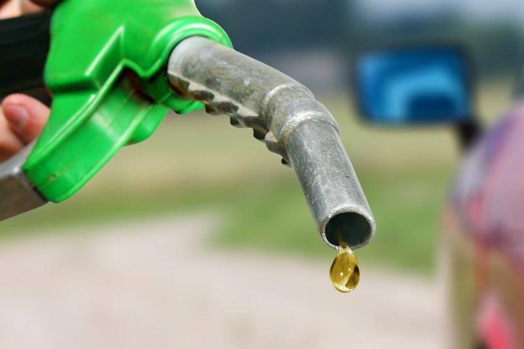 EK sprendimas biodegalų gamyklas stumtų bankroto link