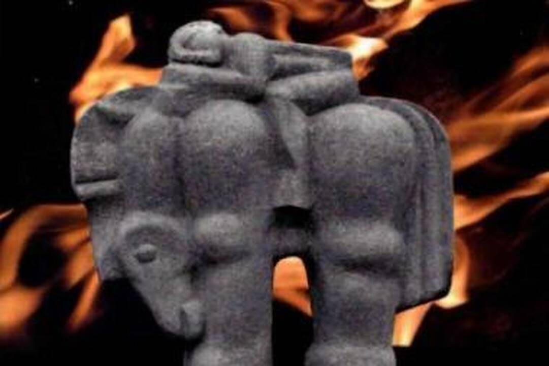 „Naktigonės“: gera daryti gera 