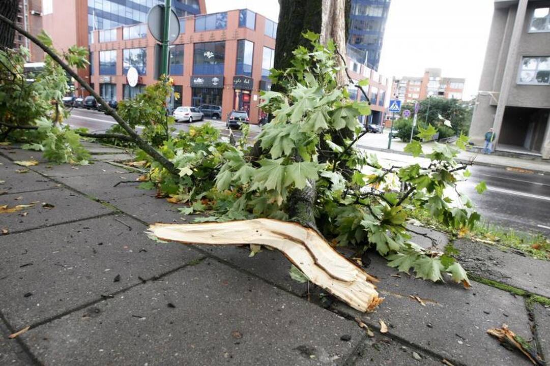 Lietuvą nusiaubė vėtra: daugiausiai žalos - pamaryje